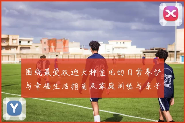 围绕最受欢迎犬种金毛的日常养护与幸福生活指南及家庭训练与亲子互动