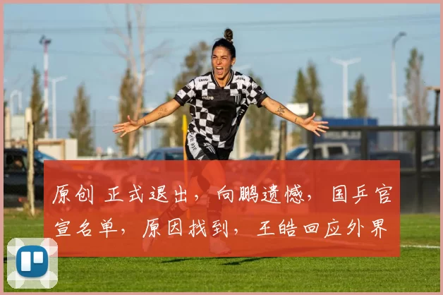 原创 正式退出，向鹏遗憾，国乒官宣名单，原因找到，王皓回应外界质疑