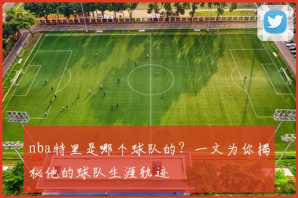 nba特里是哪个球队的？一文为你揭秘他的球队生涯轨迹