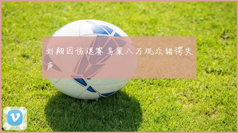 刘翔因伤退赛鸟巢八万观众错愕失声