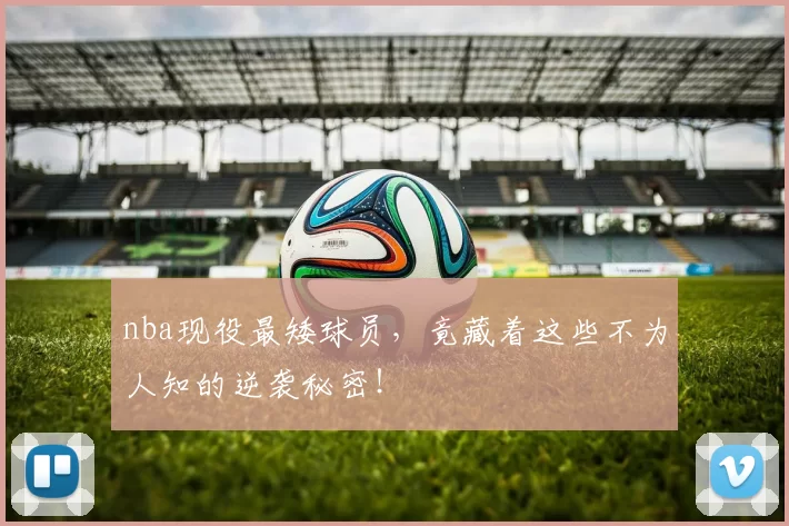 nba现役最矮球员，竟藏着这些不为人知的逆袭秘密！