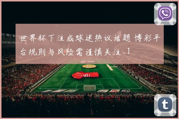 世界杯下注成球迷热议话题 博彩平台规则与风险需谨慎关注_1