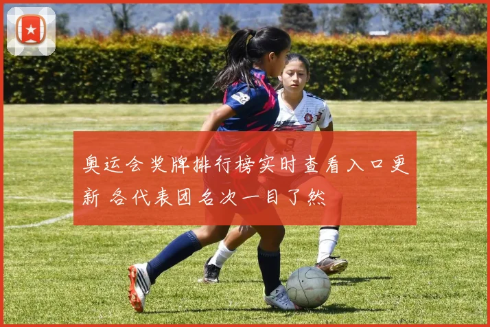 奥运会奖牌排行榜实时查看入口更新 各代表团名次一目了然