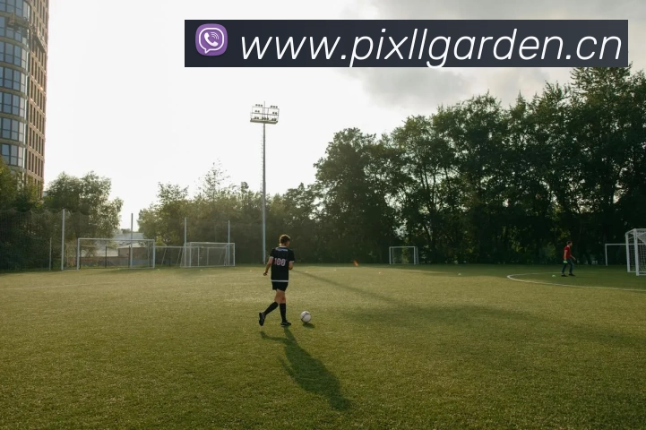 数据防护可视化